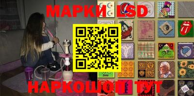 прущие грибы Будённовск