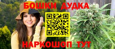 прущие грибы Будённовск