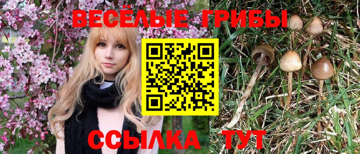 купить   Вход с VPN  Псилоцибиновые грибы прущие грибы  Сосновоборск  Галлюциногенные грибы ЛСД 